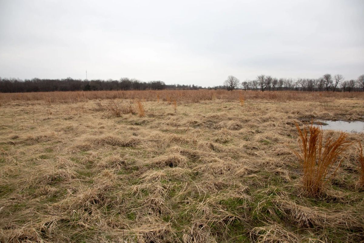 Canadian Plains Tract 24 - Image 2