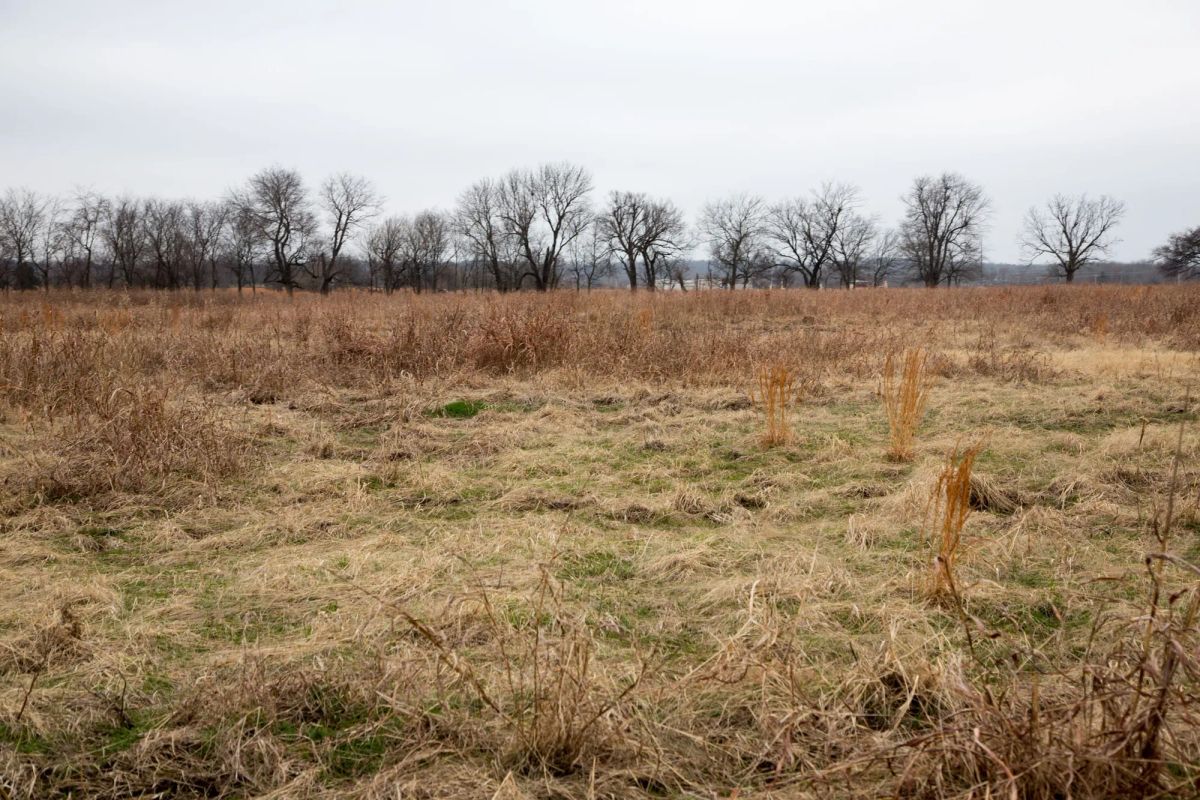 Canadian Plains Tract 24 - Image 4