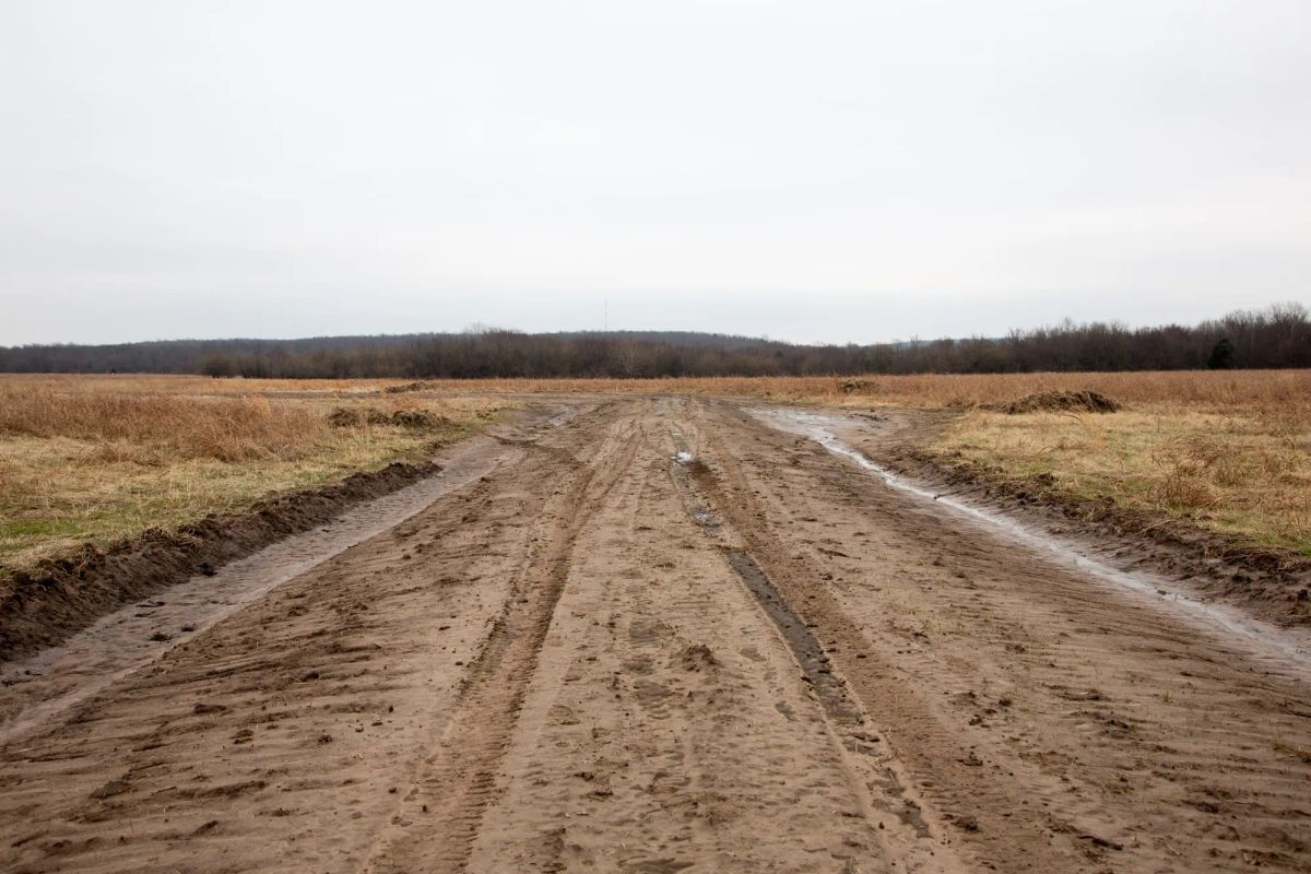 Decorative background for Canadian Plains Tract 24 image 6
