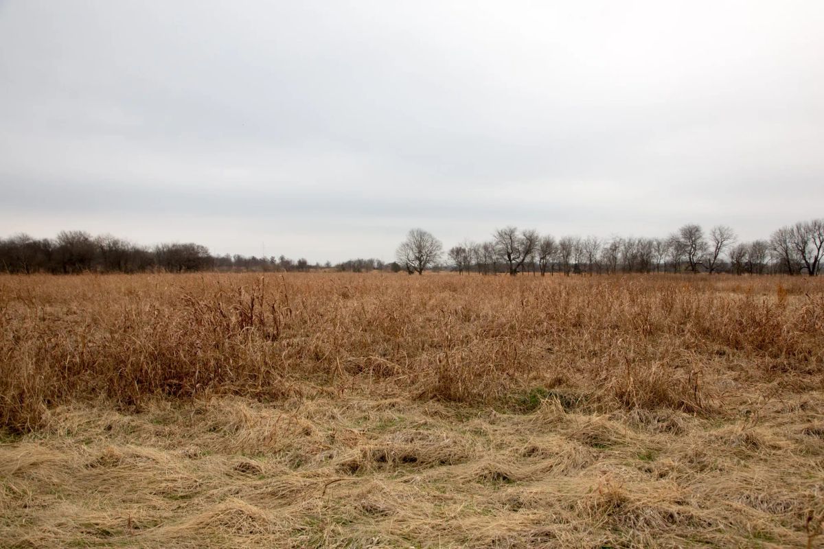 Decorative background for Canadian Plains Tract 24 image 7