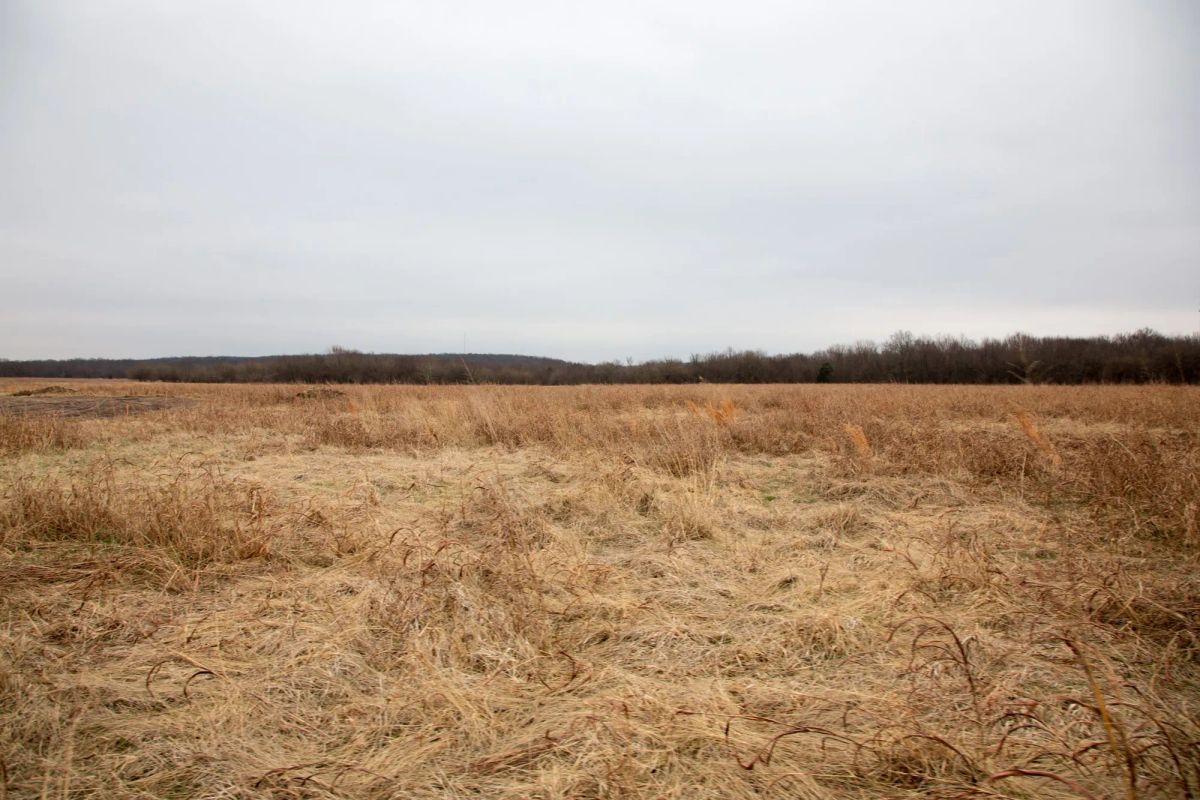 Decorative background for Canadian Plains Tract 24 image 8