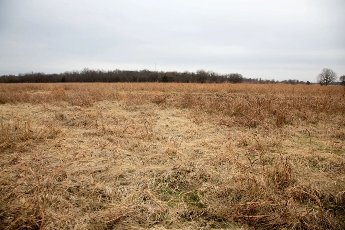 Decorative background for Canadian Plains Tract 24 image 9