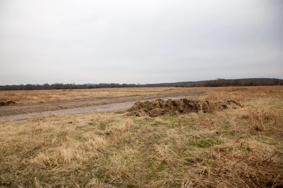 Decorative background for Canadian Plains Tract 24 image 10