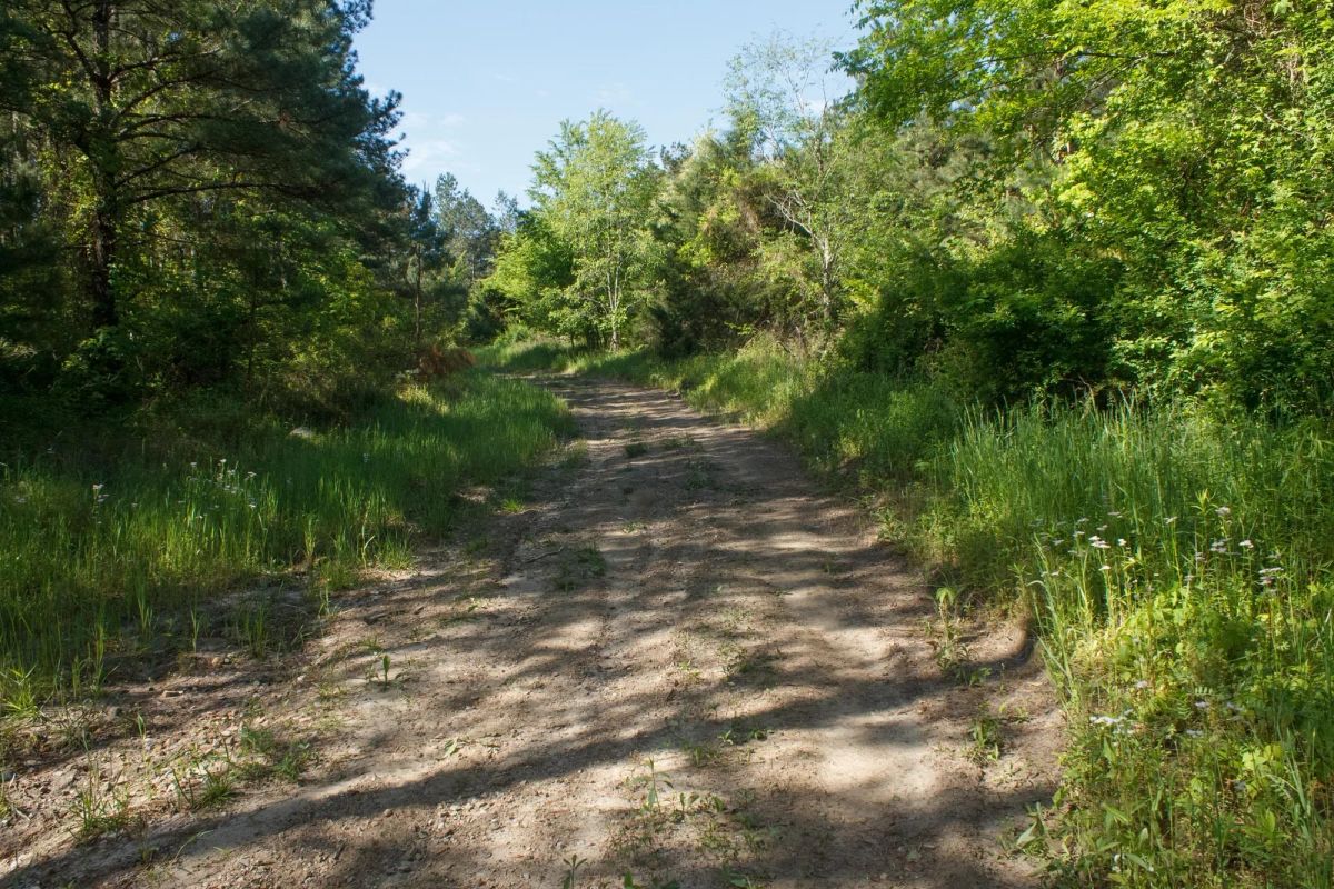 Riverbend Tract 30 - Image 2