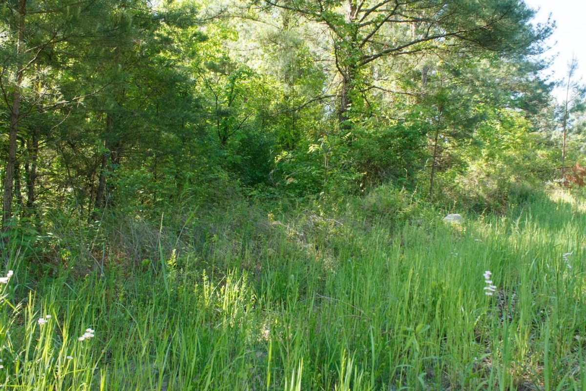 Riverbend Tract 30 - Image 4