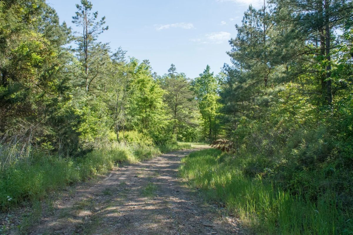 Decorative background for Riverbend Tract 30 image 7