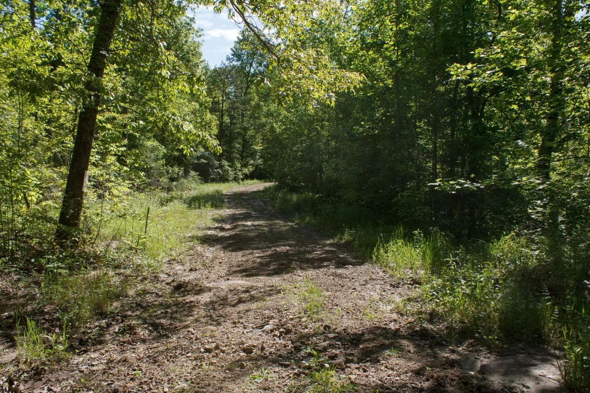 Decorative background for Riverbend Tract 30 image 9
