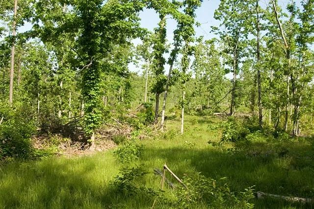 Blue Sky Ranch Tract 5 - Image 3