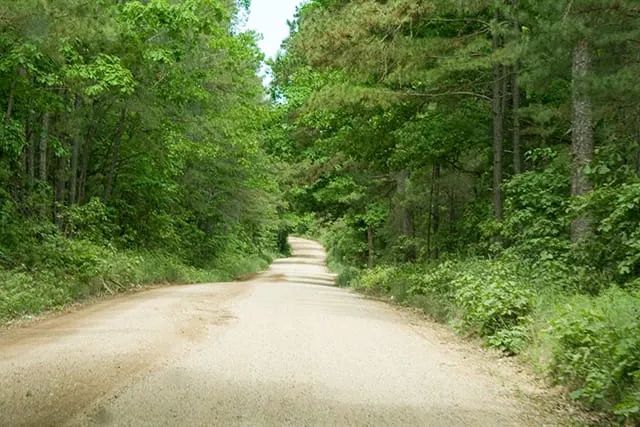 Decorative background for Blue Sky Ranch Tract 5 image 5