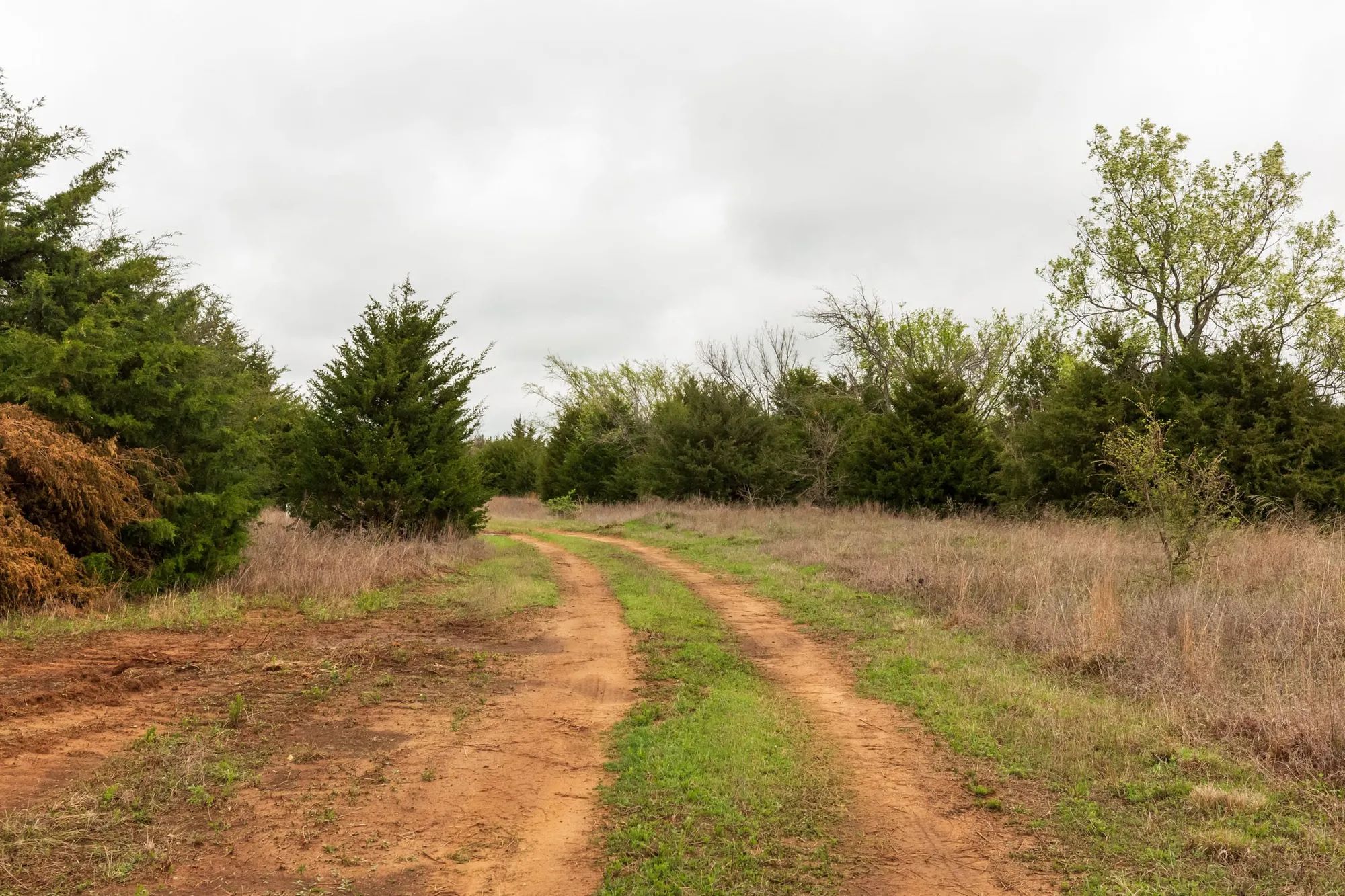Moonrise Meadows Tract 4 in Okfuskee County, OK