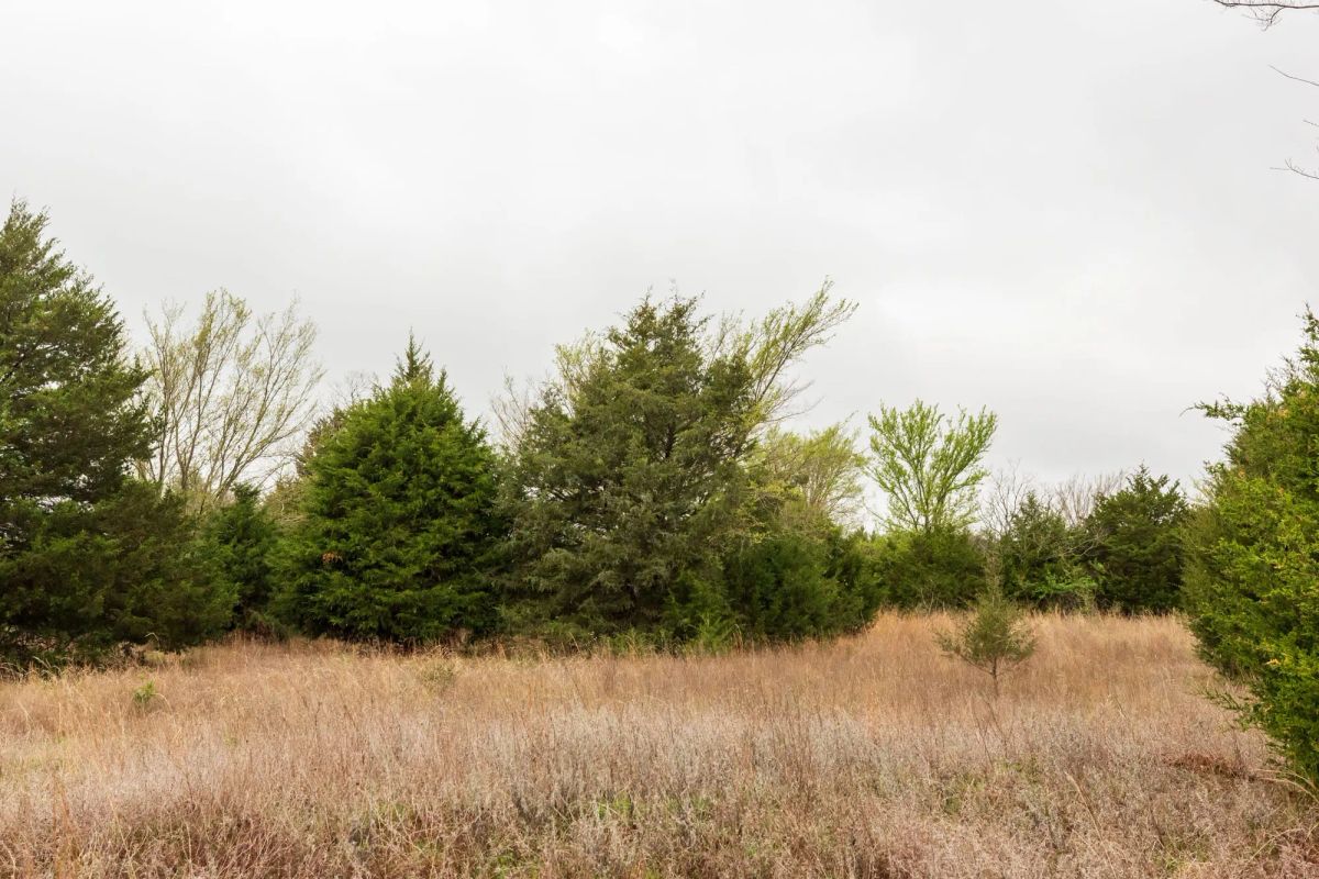 Decorative background for Moonrise Meadows Tract 4 image 6