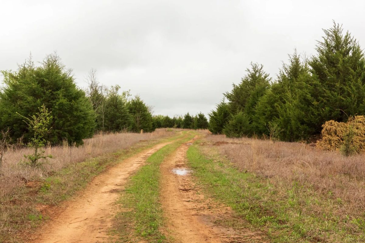 Decorative background for Moonrise Meadows Tract 4 image 8