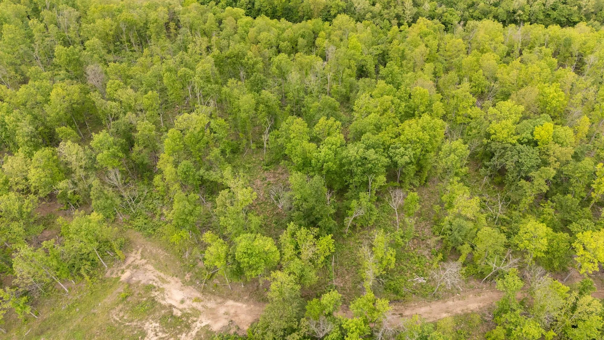 Stardust Estates Tract 27 in Reynolds County, MO