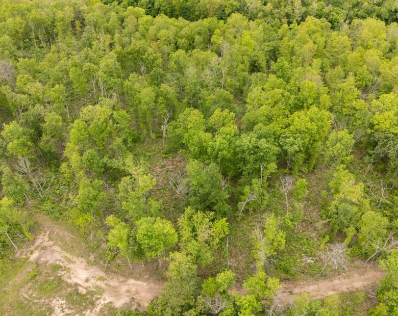 Stardust Estates Tract 27 in Reynolds County, MO