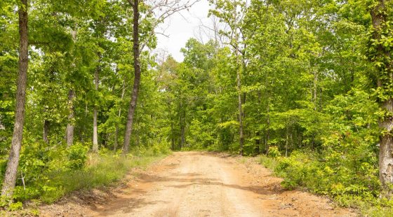 Stardust Estates Tract 27 in Reynolds County, MO