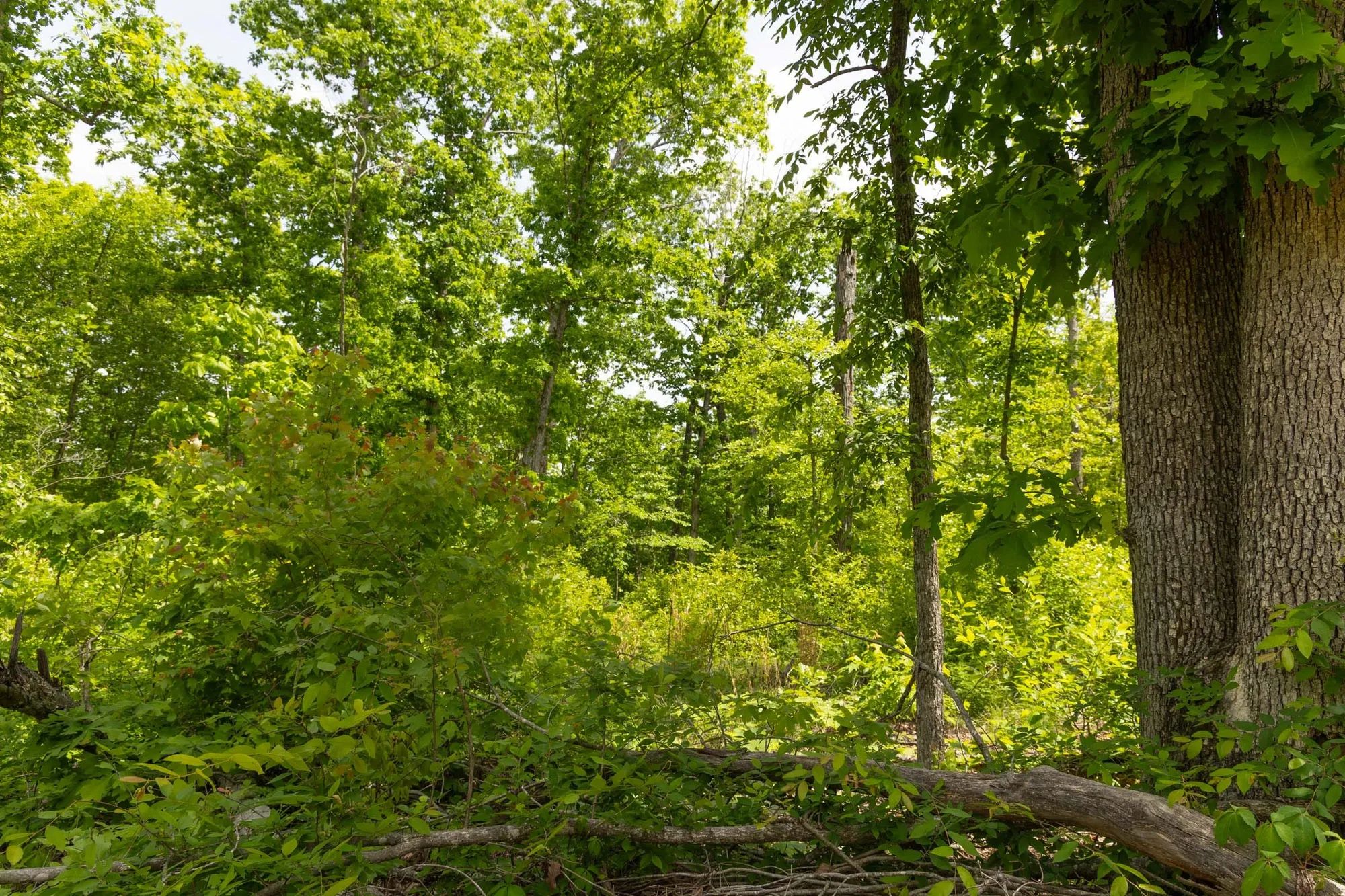 Stardust Estates Tract 27 in Reynolds County, MO