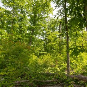 Stardust Estates Tract 27 in Reynolds County, MO