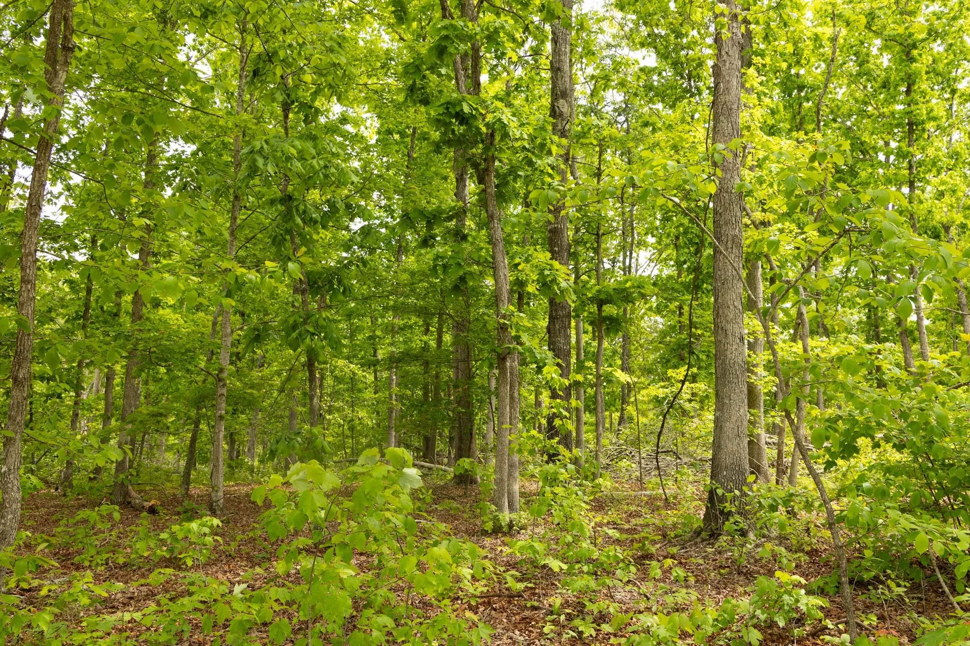 Stardust Estates Tract 27 in Reynolds County, MO