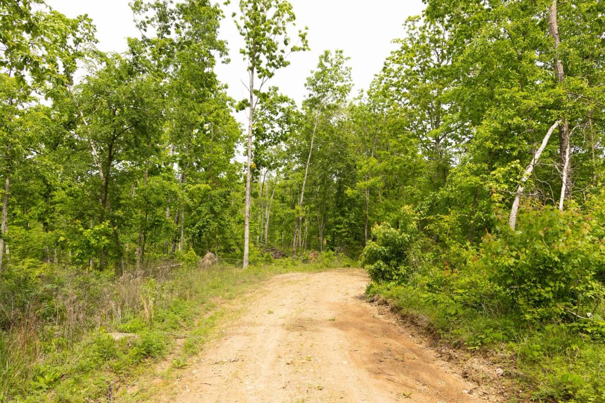 Decorative background for Stardust Estates Tract 27 image 6