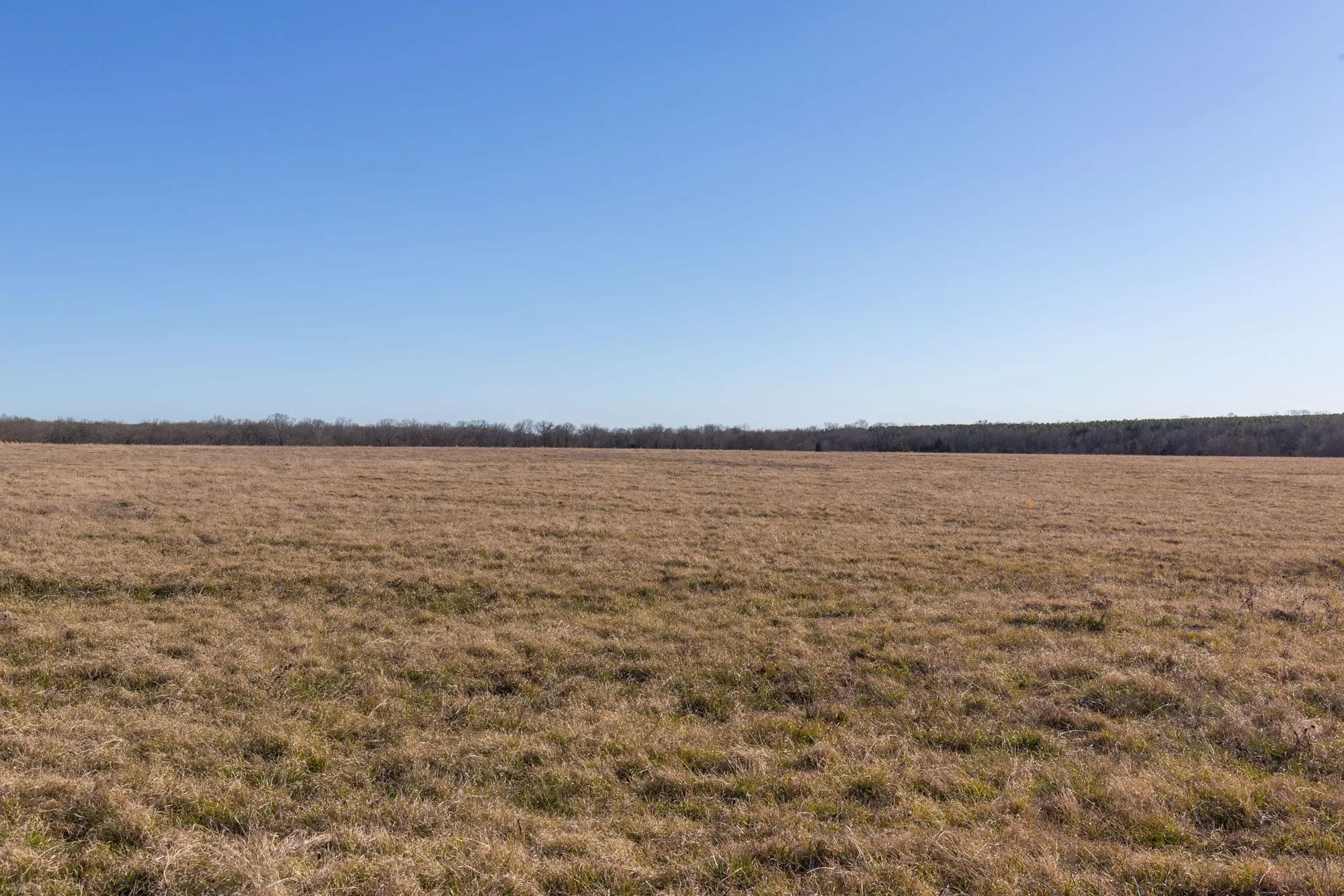 Wishing Star Ranch Tract 10 in Red River County, TX
