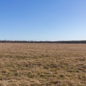 Wishing Star Ranch Tract 10 in Red River County, TX