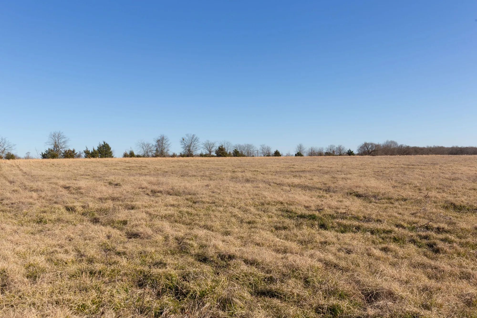 Wishing Star Ranch Tract 10 in Red River County, TX