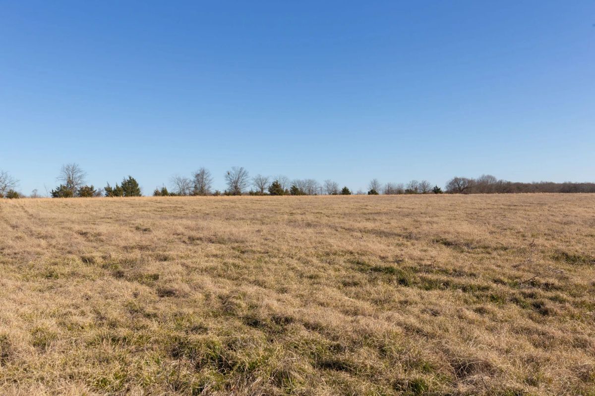 Wishing Star Ranch Tract 10 - Image 4