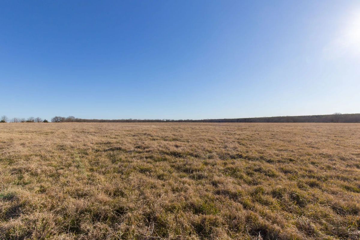 Decorative background for Wishing Star Ranch Tract 10 image 6