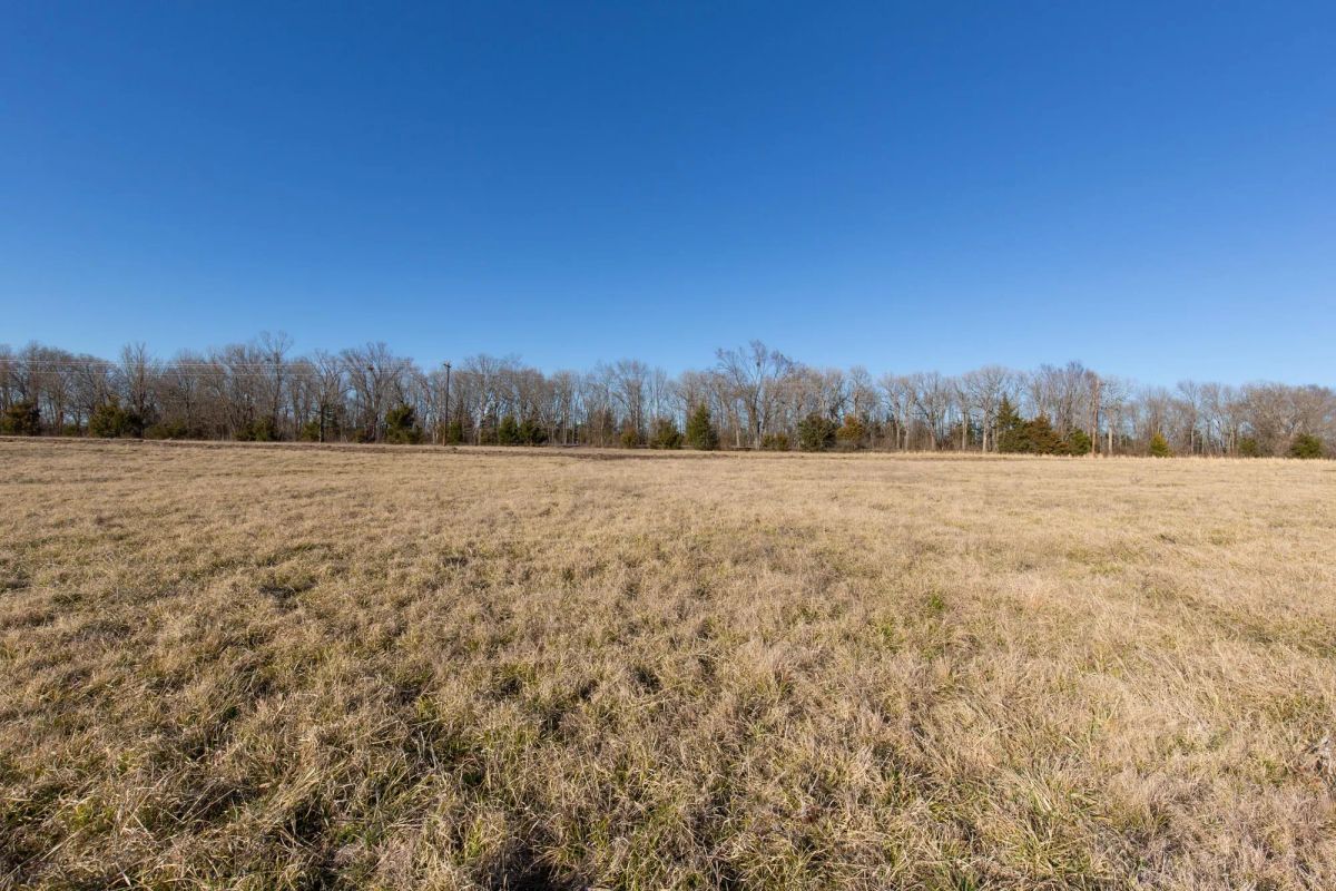 Decorative background for Wishing Star Ranch Tract 10 image 7