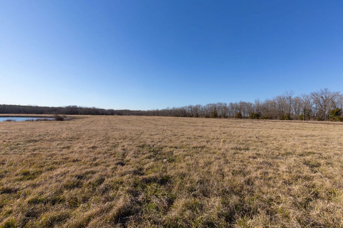 Decorative background for Wishing Star Ranch Tract 10 image 8