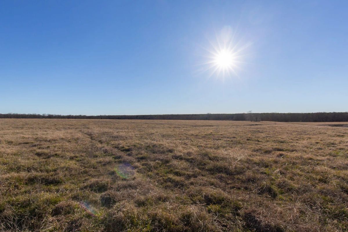Decorative background for Wishing Star Ranch Tract 10 image 9
