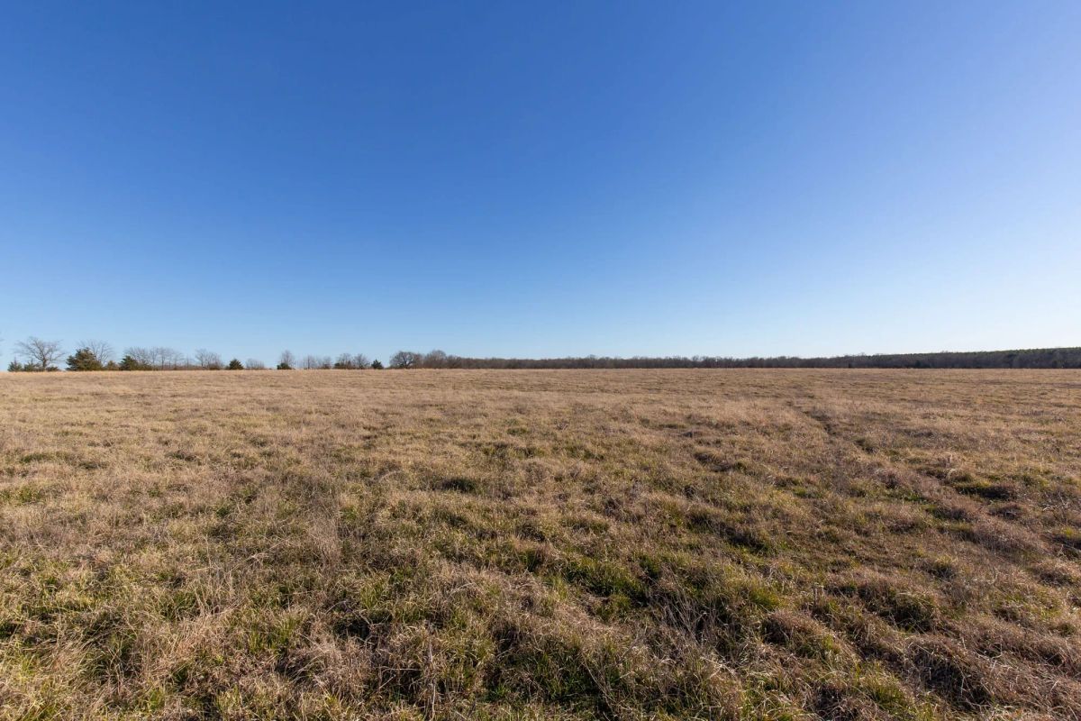 Decorative background for Wishing Star Ranch Tract 10 image 10