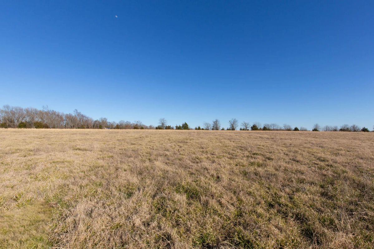 Decorative background for Wishing Star Ranch Tract 10 image 11