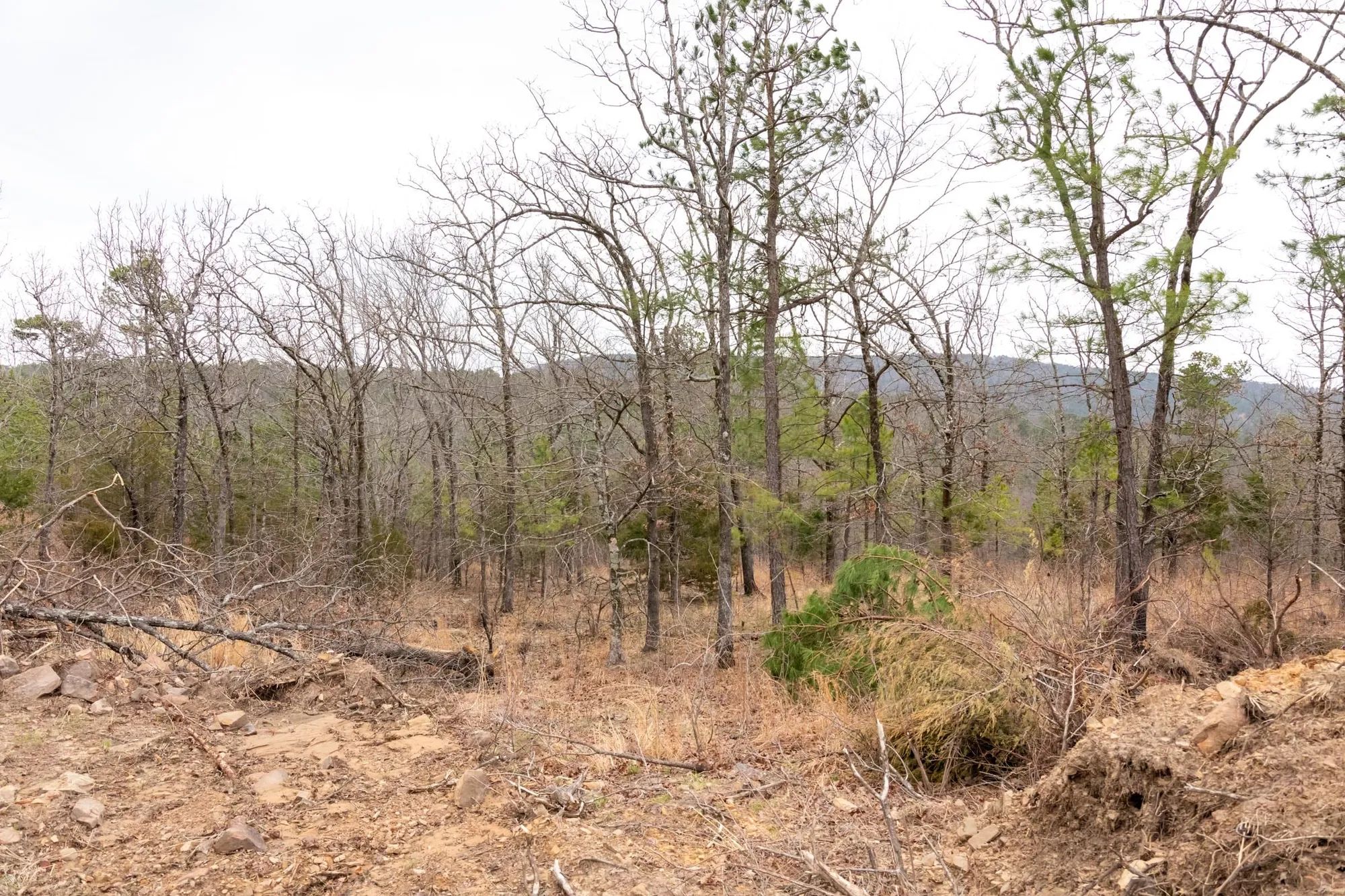Stone Bridge Phase III Tract 201 in Latimer County, OK