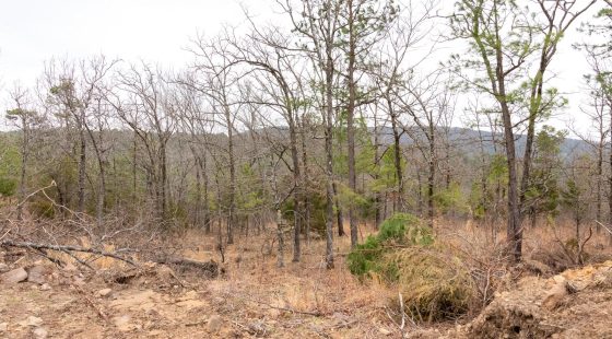 Stone Bridge Phase III Tract 201 in Latimer County, OK