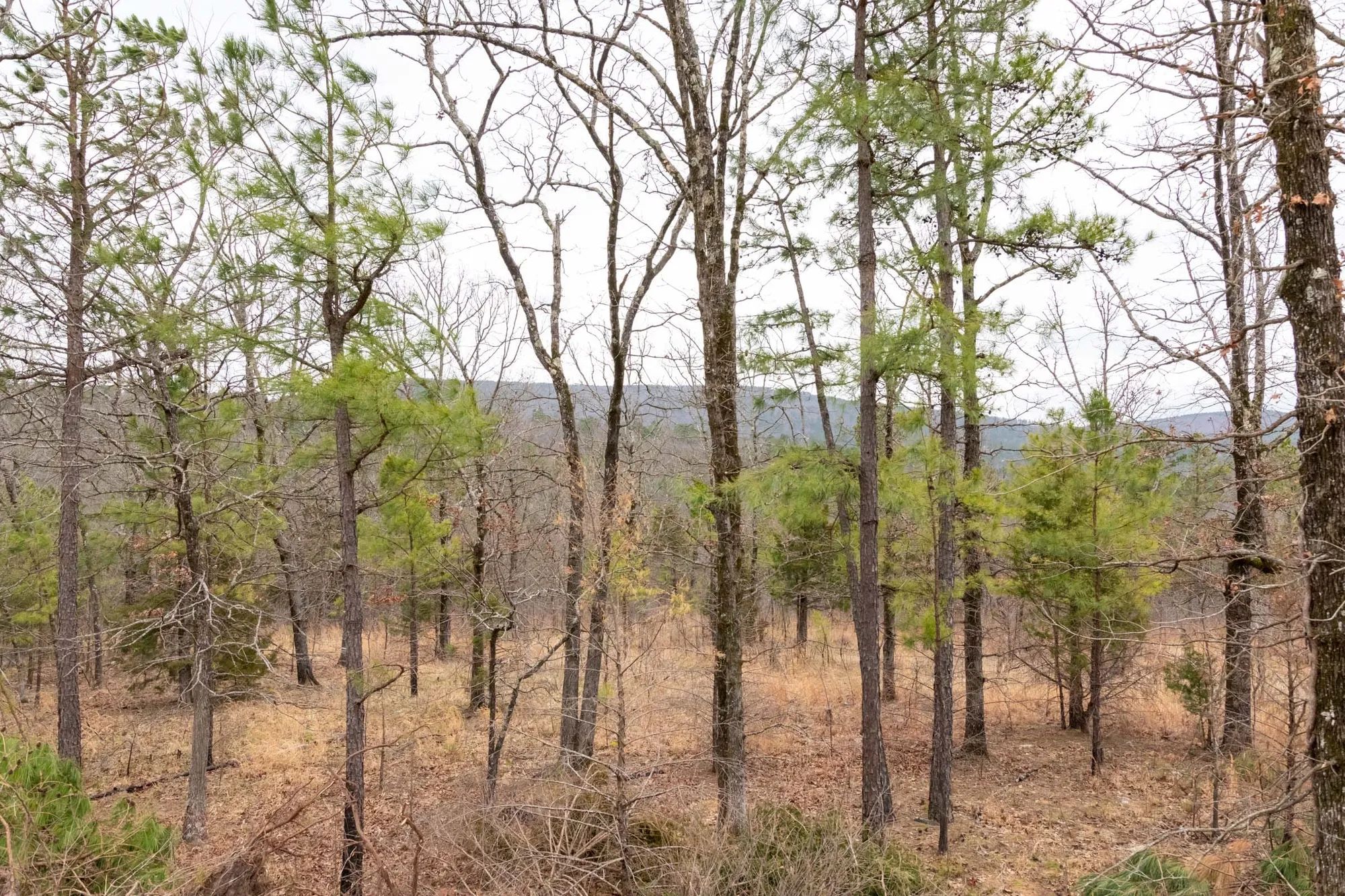 Stone Bridge Phase III Tract 201 in Latimer County, OK