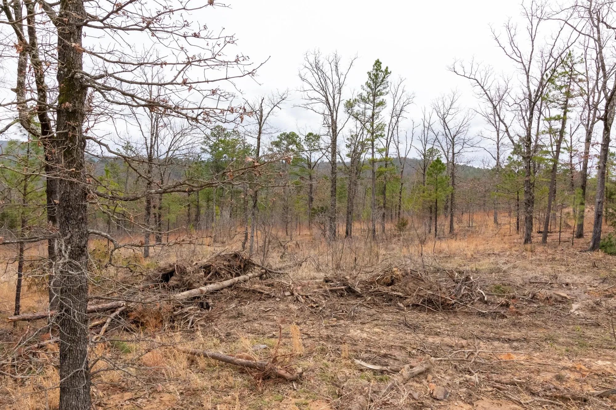 Stone Bridge Phase III Tract 201 in Latimer County, OK