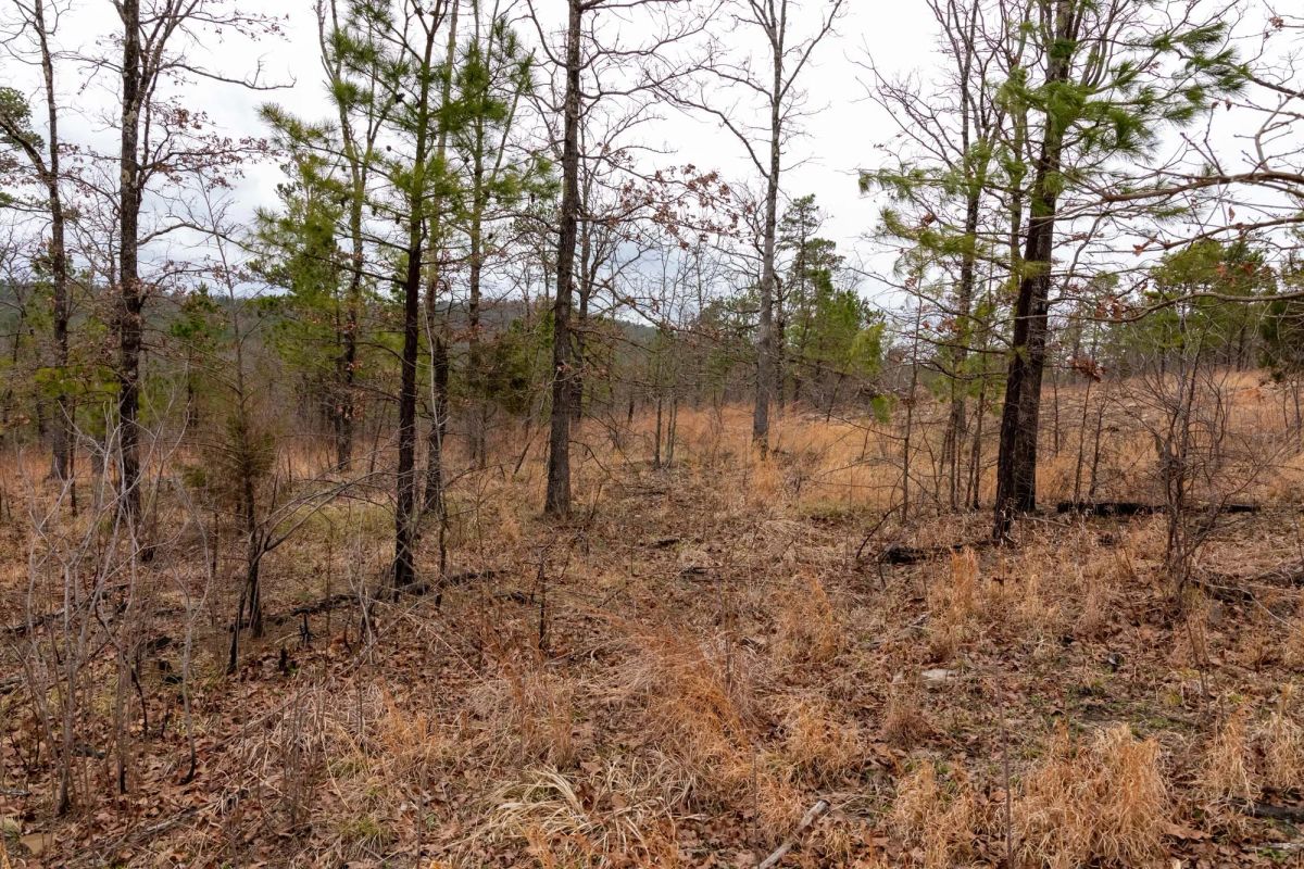 Decorative background for Stone Bridge Phase III Tract 201 image 5