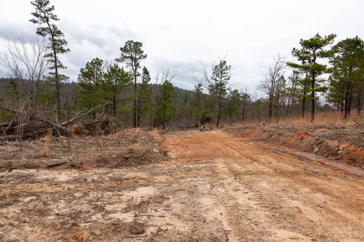 Decorative background for Stone Bridge Phase III Tract 201 image 6