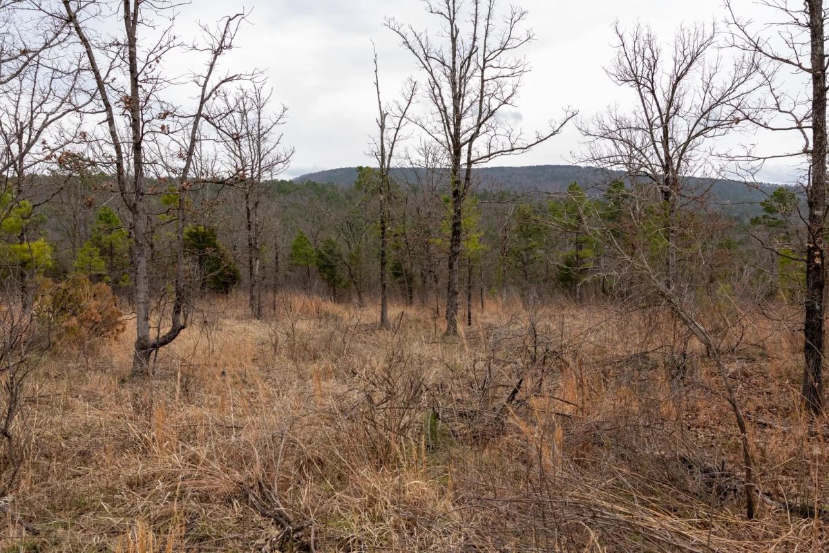 Decorative background for Stone Bridge Phase III Tract 201 image 7