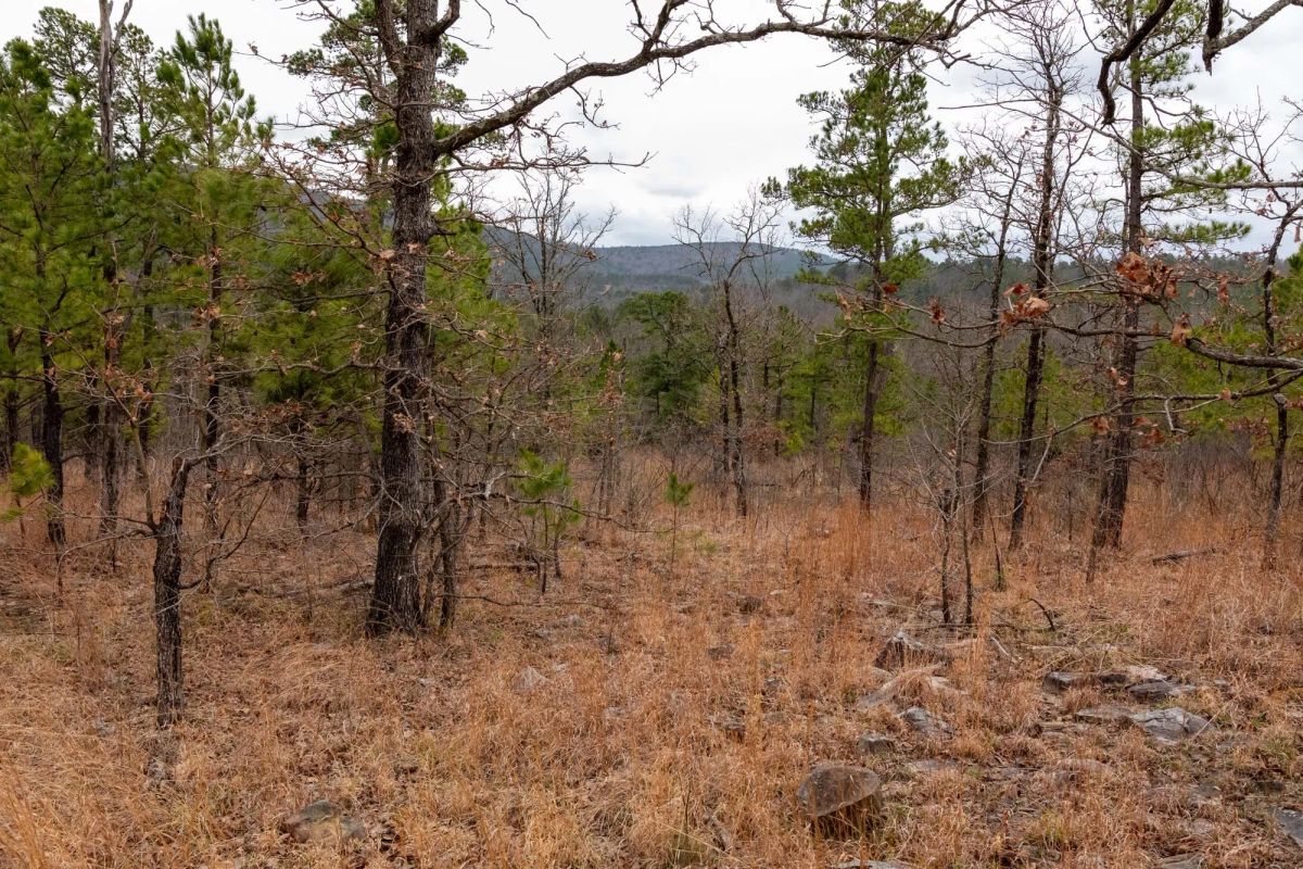 Decorative background for Stone Bridge Phase III Tract 201 image 9