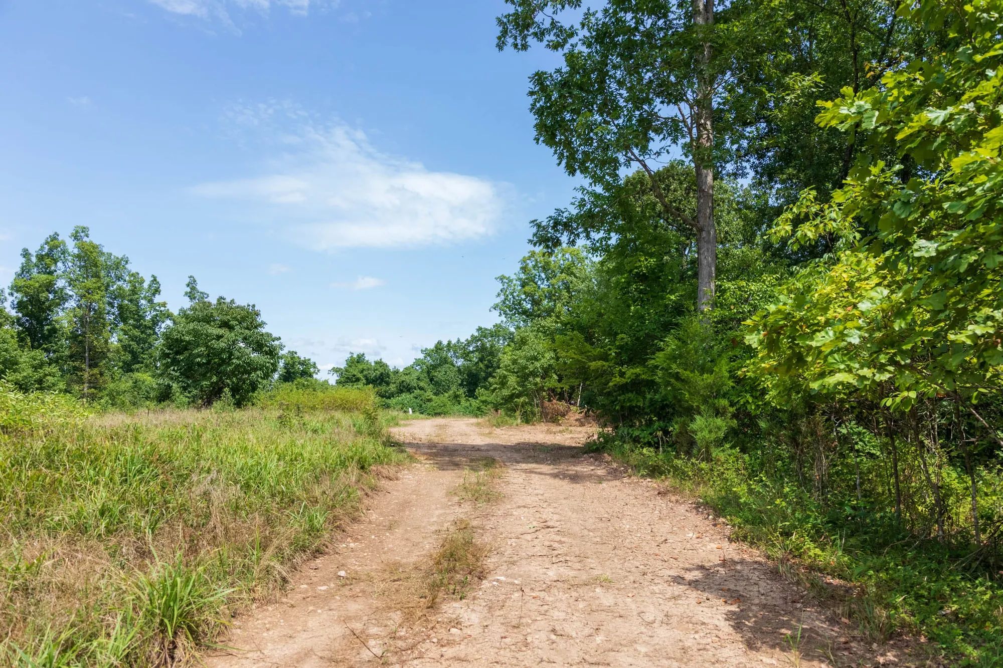 Cypress Ridge Tract 11 in Reynolds County, MO