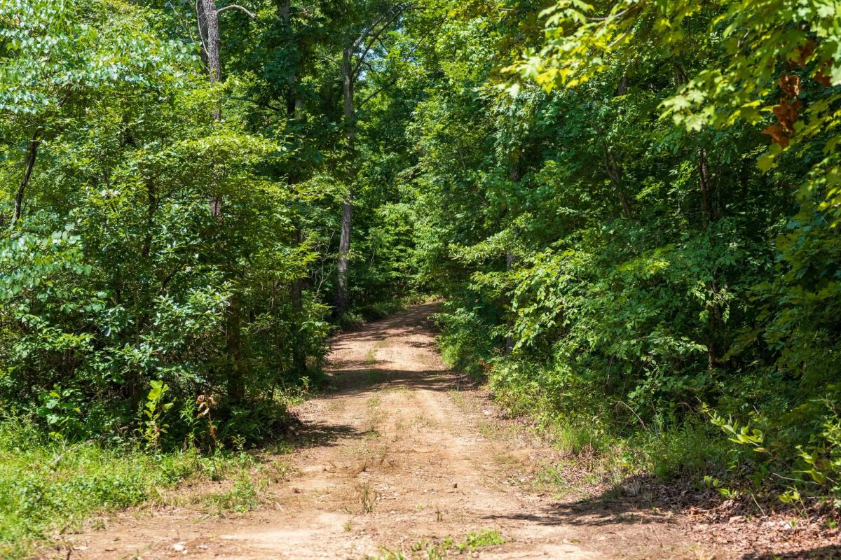 Cypress Ridge Tract 11 - Image 3