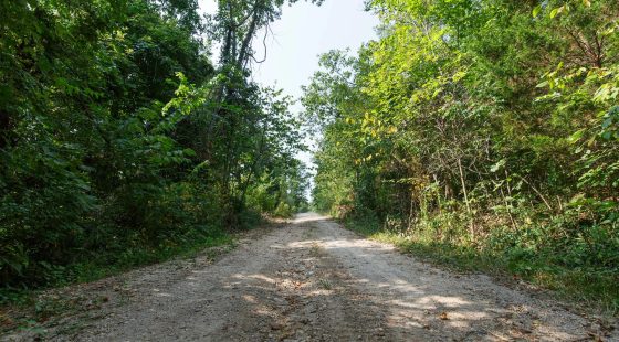 Spring Lake Plat 4 Tract 37 in Miller County, MO