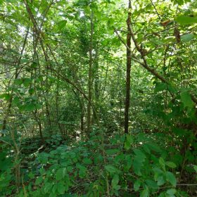 Spring Lake Plat 4 Tract 37 in Miller County, MO