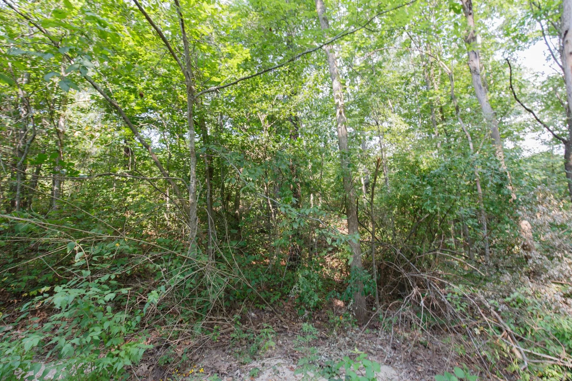 Spring Lake Plat 4 Tract 37 in Miller County, MO