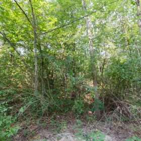 Spring Lake Plat 4 Tract 37 in Miller County, MO