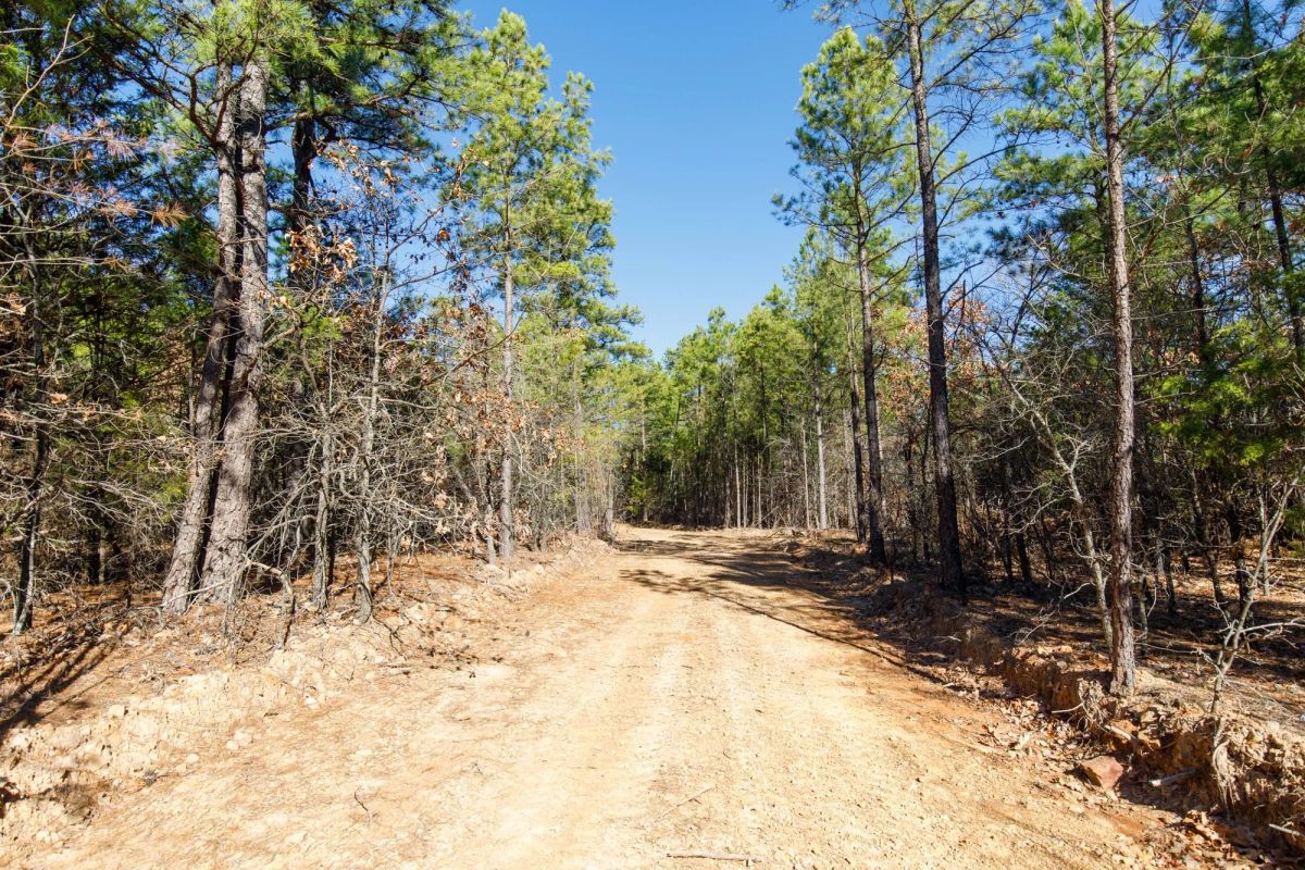 Stone Bridge Phase II Tract 124 - Main image