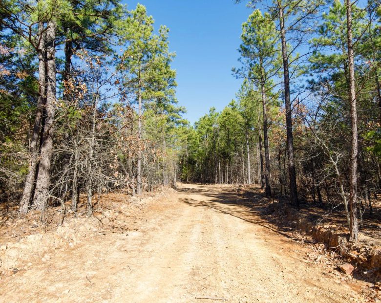 Stone Bridge Phase II Tract 124 in Latimer County, OK