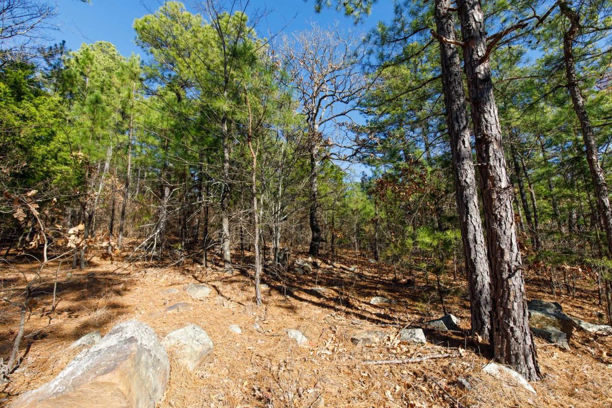 Stone Bridge Phase II Tract 124 - Image 2